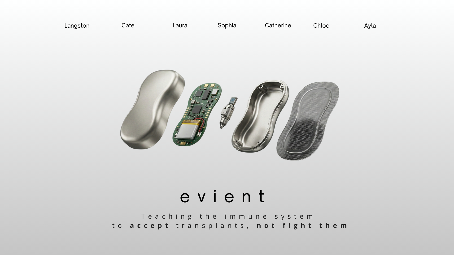 Evient project preview